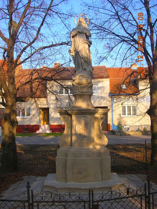 Immaculata (neposkvrněná)