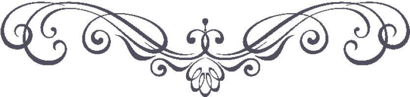 Ornament zámek Drahonice