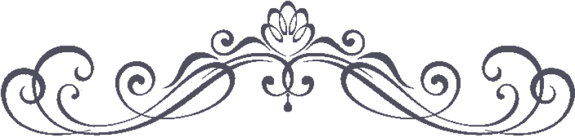 Ornament zámek Drahonice